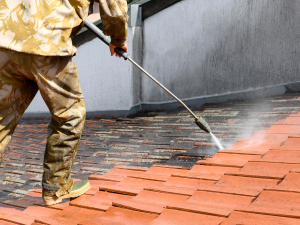 Cleaning Roofing Shingles in Lynden