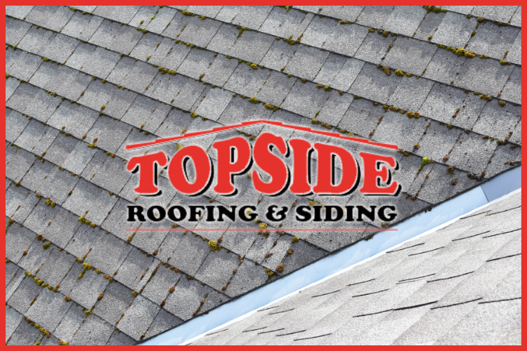 Roofing Shingles with Moss Growth in Lynden