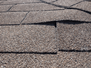Lynden resident checks roofing shingles up close for damage.
