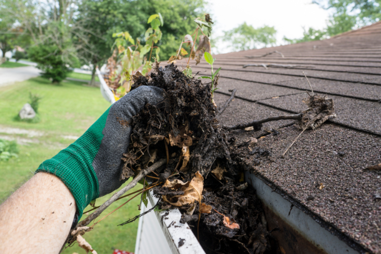 Homeowner cleaning gutters to prevent roof damage