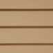 Buckskin color swatch